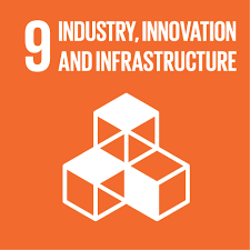 SDGs 9